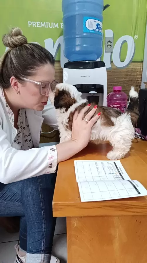 Clientes Felizes
