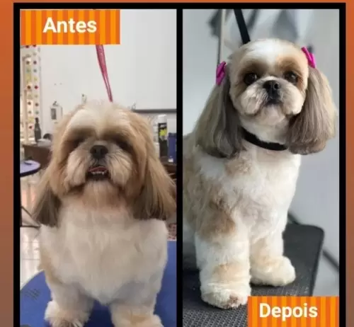 Clientes Felizes